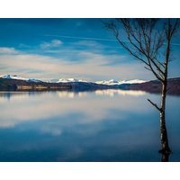 Loch Rannoch Highland Club Red Deer 8