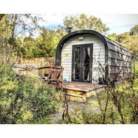 Emlyn's Coppice - Luxury Woodland Glamping
