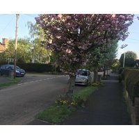 Beautiful Mansion Private Gated Rd Huge Garden. Sauna Sleeps 15 Guests.