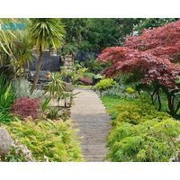 Tropical Garden Oasis Rooms