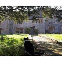 The Manor House Curry Mallet