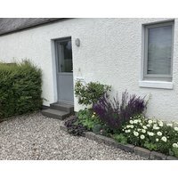 The Knock & The Badan