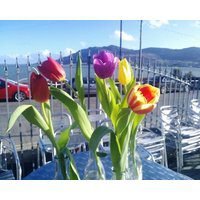 The Whistledown Hotel