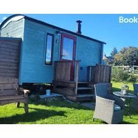 The Shepherds Hut at Forestview Farm