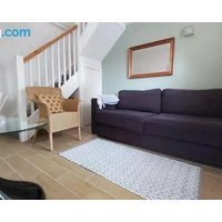 Y Llew Bach the tiny house