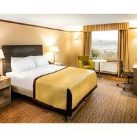 Copthorne Hotel Merry Hill Dudley