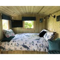 The Peacock Shepherds Hut At Hafoty Boeth