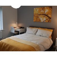 New Contemporary Flat Minutes From Bham Airport Nec & Genting Arena