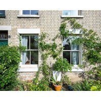 Peaceful Oasis 3 Beds House With Garden