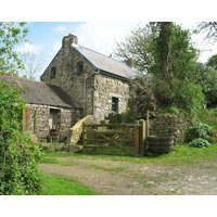 Penfeidr Newydd Newport