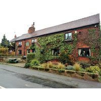 Olive Tree Guest House