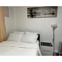 Stylish 1BR Apt w Fireplace & High-Speed WiFi