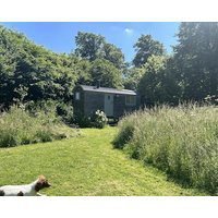 Cabin Retreat in Bedford - Sleeps 2 & Free parking