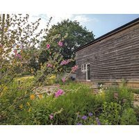 Relax Switch Off And Reconnect In This Inviting Shropshire Studio.