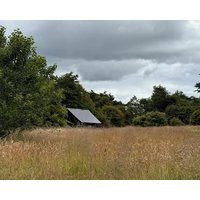 Macallan Off-grid Cabin In Woods: Macallan. Pet Friendly!