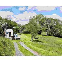 The Mallard Shepherds Hut With Hot Tub