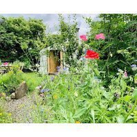 Wester Auchraw Croft B&B