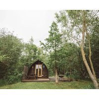 Cosy Cabin In Idyllic Woodland Setting