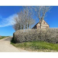 Farm House In Stunning Dorset Countryside With Hardy Views