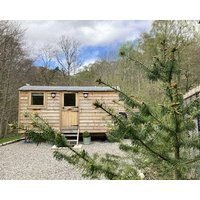 Highland Bear Lodge & Luxury Bear Huts