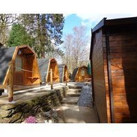 Bryn Dinas Camping Pods Ltd.