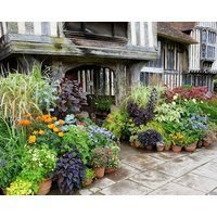 London Beach Country Hotel & Golf Club