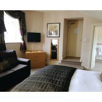 The Dog in Over Peover