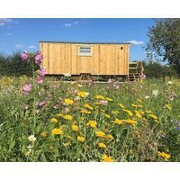 Shepherds Hut 6