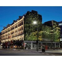 Rubens At The Palace