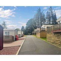 Emerald Pines - Uk50577