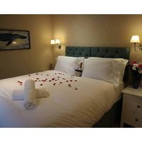 Apartment 2 - The Wellington