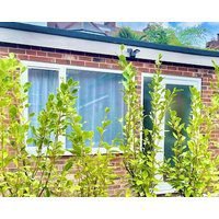 Newly Refurbished: The Cabin At No. 12