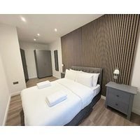 Luxury 1-bedroom apartment