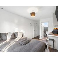 Modern Studio with En-Suite & Kitchenette 8 - Brixton