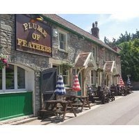 Plume of Feathers