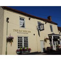 The Fat Fox