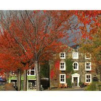 Talbot House Bed & Breakfast and Tearoom