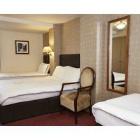 Feathers by Chef & Brewer Collection