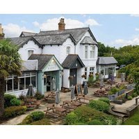 White Rabbit by Chef & Brewer Collection