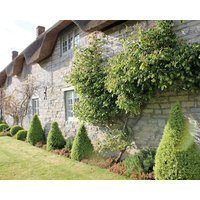 West Knole House Somerset