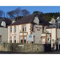Twin Lions Hotel