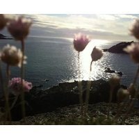 Fabulous Beach Pad Just 20 Paces From The Mawgan Porth Beach (SUMMER DISCOUNTS)