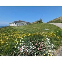 Close To Amenities And Only A Few Minutes Walk To The Shop Bus Stop And Beach.