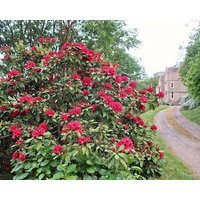 Haslington House Family Friendly In Malvern Ref 940966