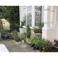 Wynberg House Bed & Breakfast