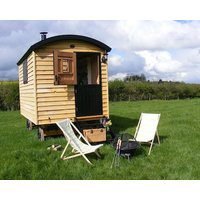 Marshwood Farm B&B and Shepherds Hut