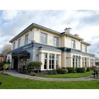 The Cheshire Cat by Innkeeper's Collection