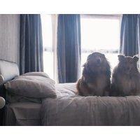 Wellesley Park Hotel