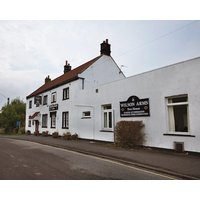 The Wilson Arms