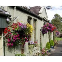 Auld Mill House Hotel